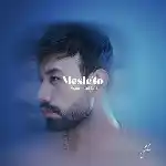 دانلود آهنگ مثل تو از محمد لطفی